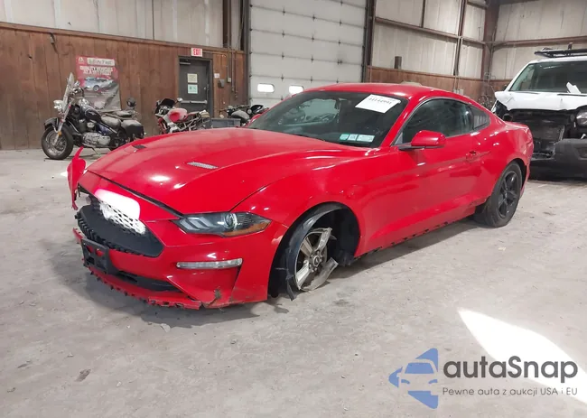 1FA6P8TH3J5113313: 44144991