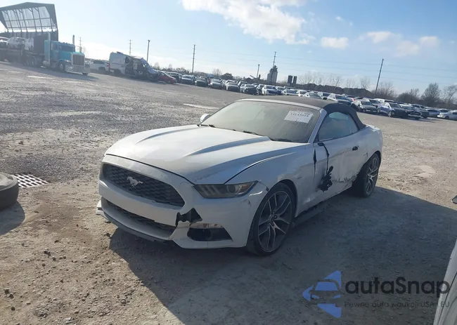 1FATP8UH6G5265502: 44145018