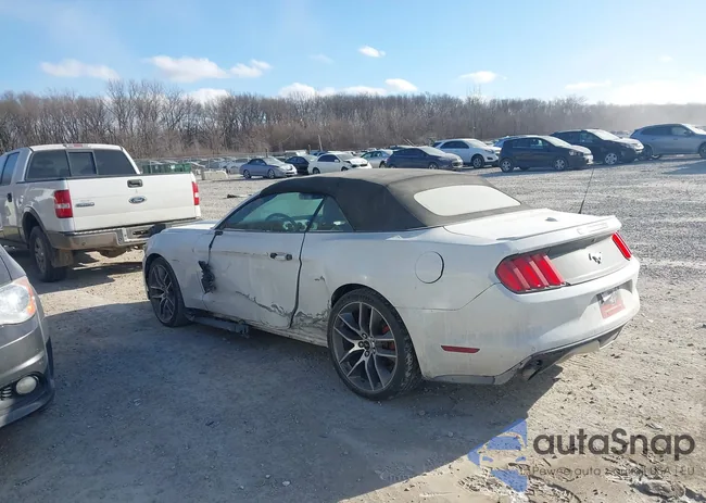 1FATP8UH6G5265502: 44145018