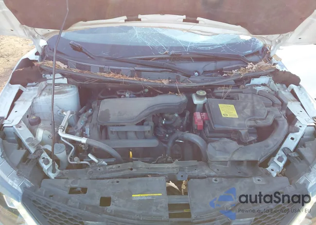 JN1BJ1CP2HW031525: 44144146