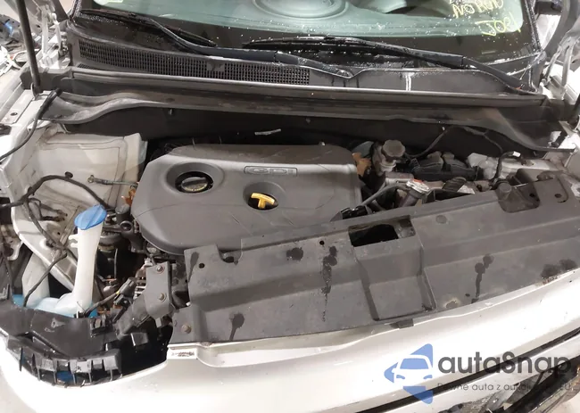 KNDJP3A56K7009954: 44144202