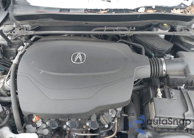 19UUB3F53FA004502: 44144358