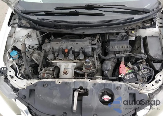 19XFB2F8XFE033469: 44145809