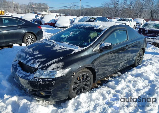 2HGFG1B85BH512657: 44145930