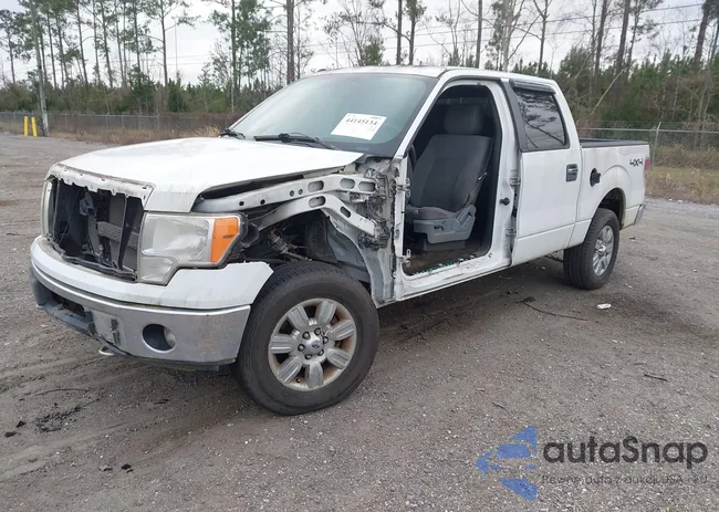 1FTFW1EF6CFA52455: 44145134