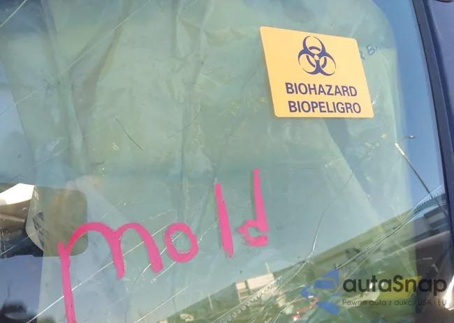 5TDAAAA61R5012758: 44145203