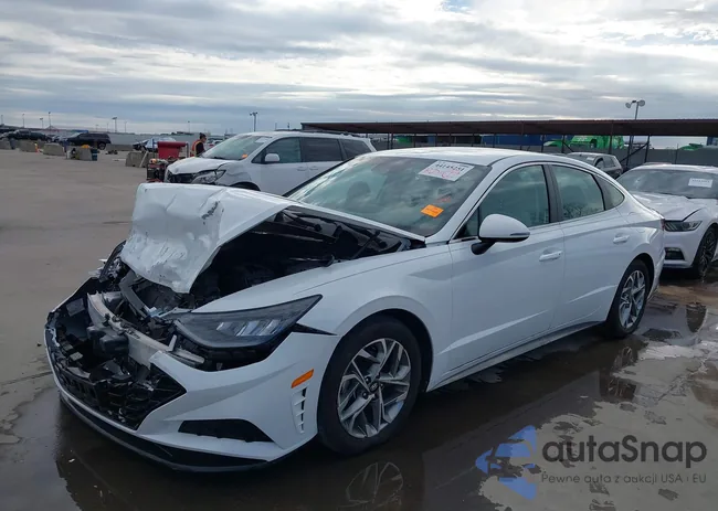 5NPEL4JA9LH012831: 44145251