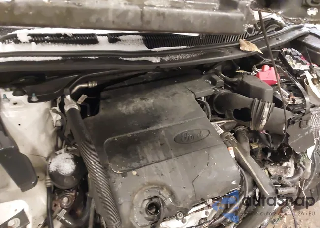 1FM5K8D80HGD84598: 44145263