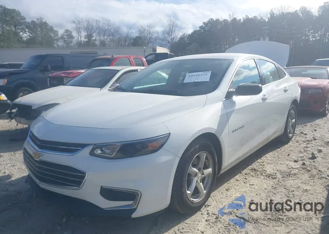 1G1ZB5ST6JF242658: 44145329