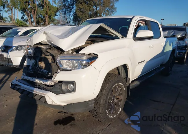 3TMBZ5DN0MM028823: 44146670