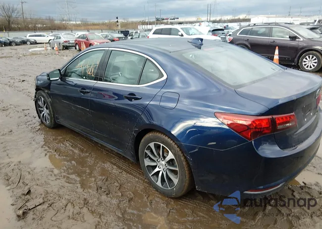 19UUB1F39GA003262: 44146869