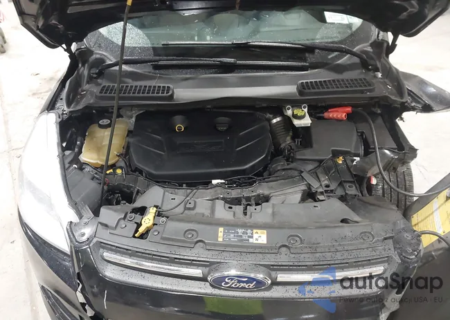 1FMCU9G9XGUA04744: 44146872