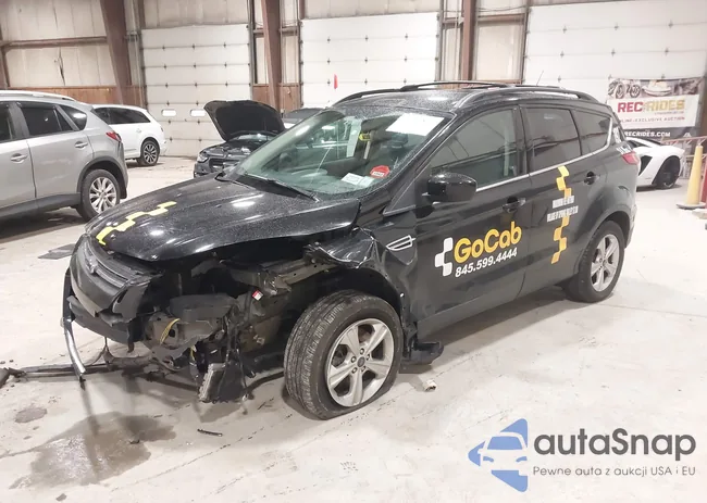 1FMCU9G9XGUA04744: 44146872