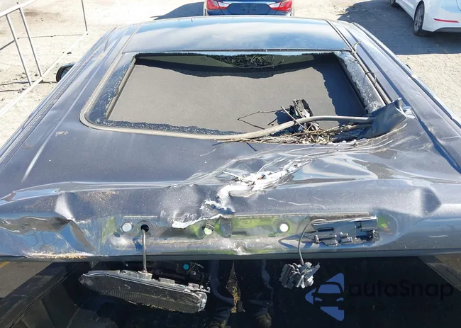 5TFWA5DB9SX297313: 44146994