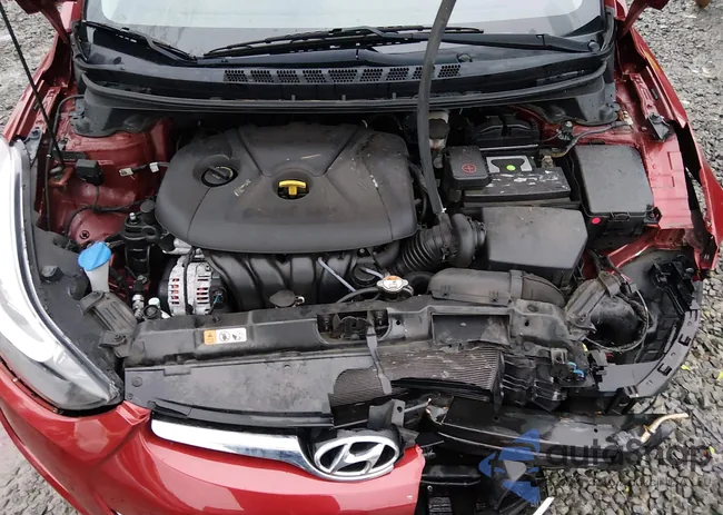 5NPDH4AE4GH775958: 44146457