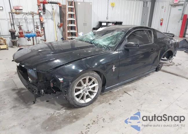 1ZVBP8AM9B5122007: 44147534