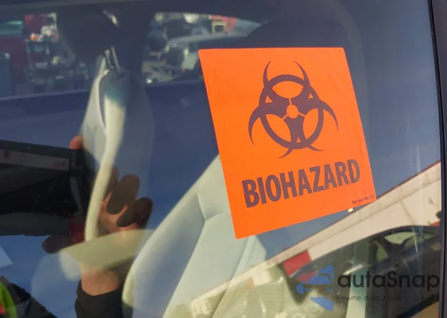 5NPE24AF4HH506536: 44148599