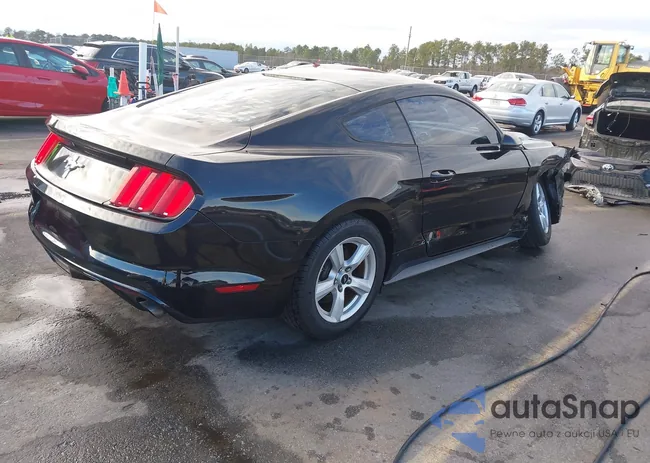 1FA6P8AM6G5218548: 44148818