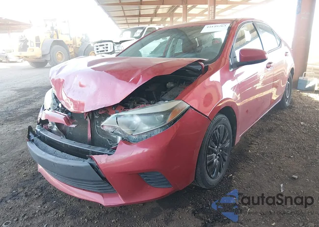 2T1BURHEXEC125795: 44149763