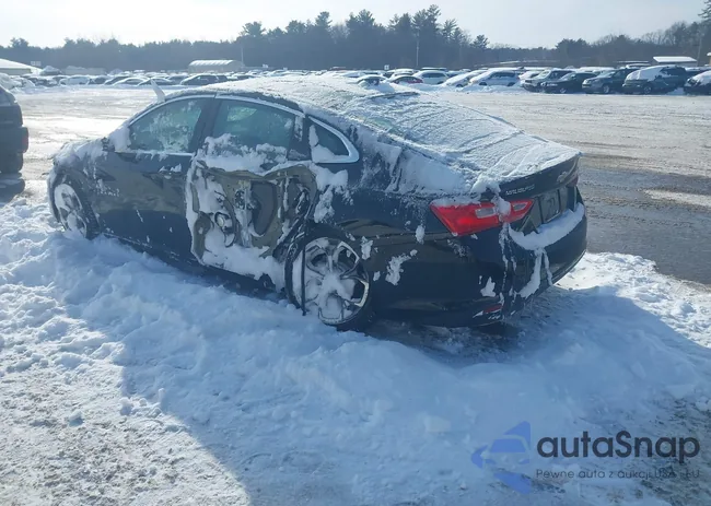 1G1ZD5ST7RF170097: 44149844