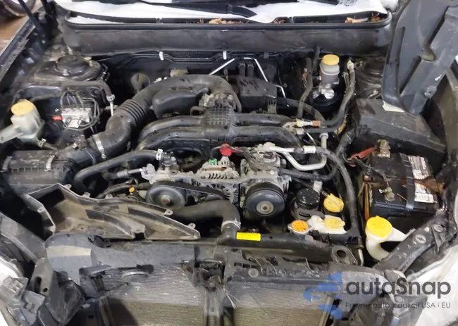 4S4BRCGC0D3300377: 44149376