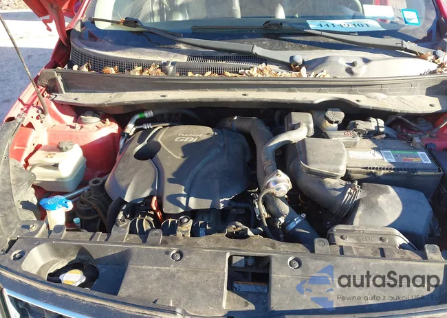 KNDPCCA63B7113476: 44149401