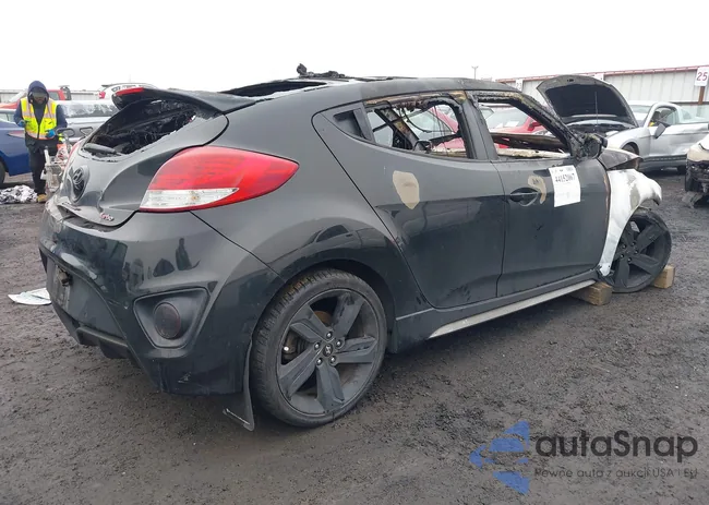 KMHTC6AE5DU117407: 44152067