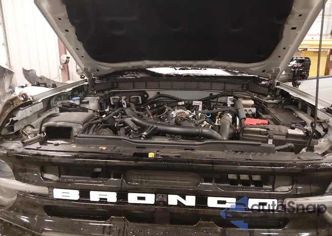 1FMEE5DP6PLB53224: 44151341