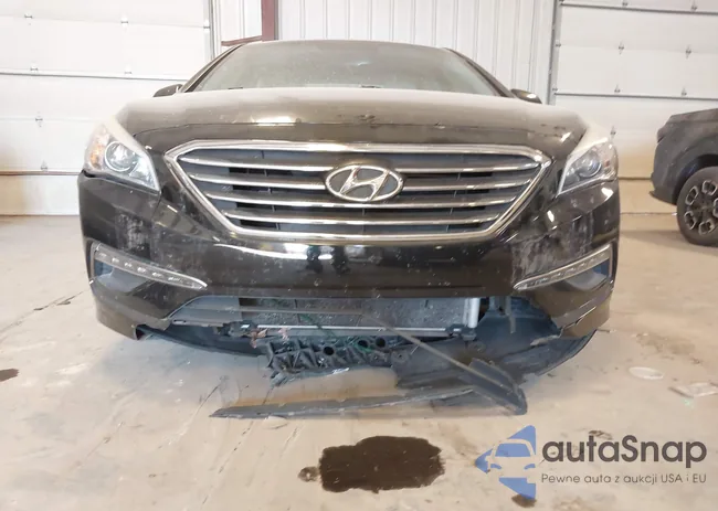 5NPE24AF5FH163961: 44151351