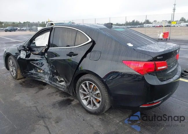 19UUB1F51KA008434: 44152503