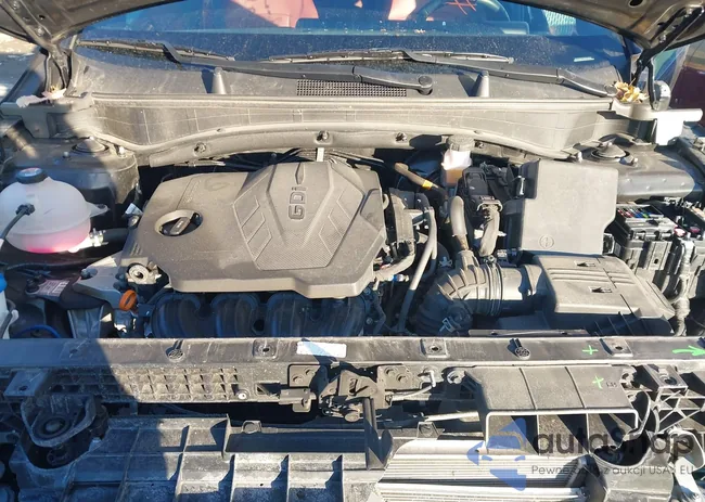 5XYK5CDF2RG230656: 44152855