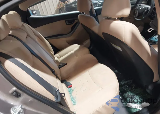 5NPDH4AE8DH310787: 44152928