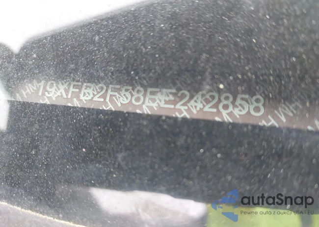 19XFB2F58EE242858: 44153053