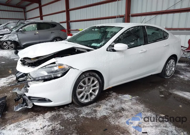 1C3CDFBA5DD295321: 44152085