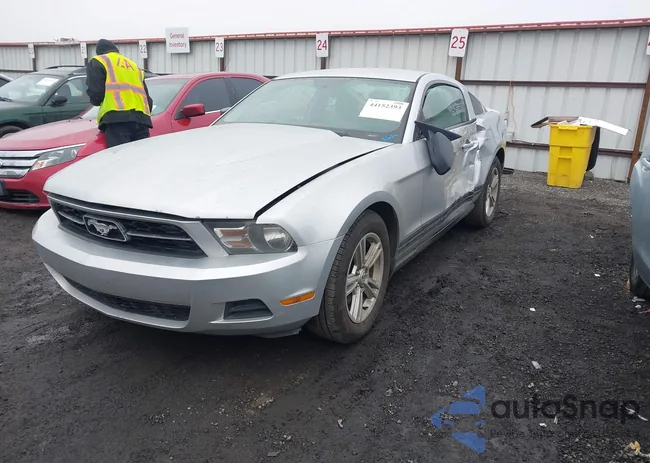 1ZVBP8AM2B5138999: 44152393