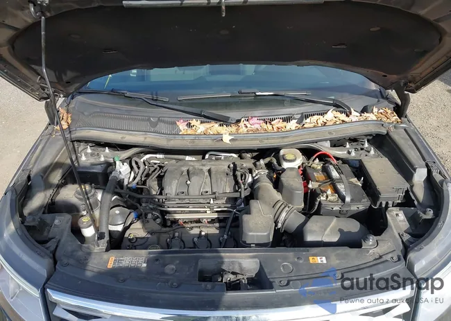 1FM5K7D88JGC81848: 44153396