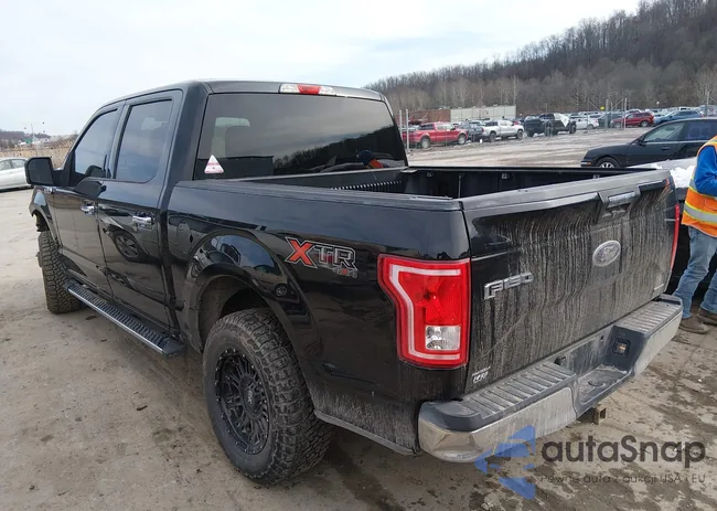 1FTEW1EF4GFB38803: 44154527