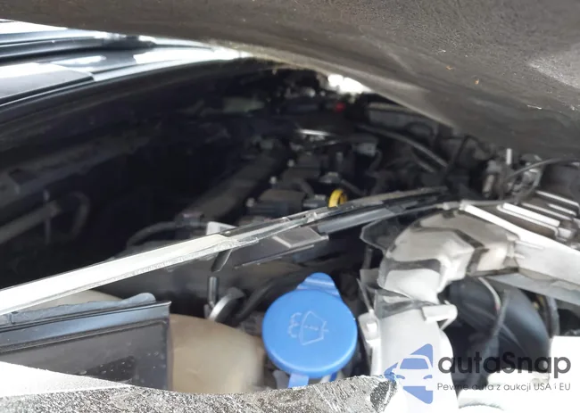 1FADP3E23GL298650: 44154668