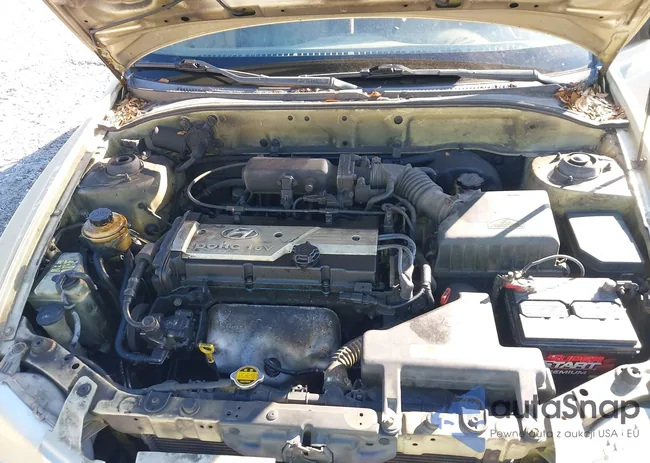 KMHCG45C52U402381: 44154863