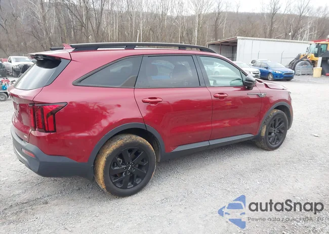 5XYRLDLC9PG195970: 44155455