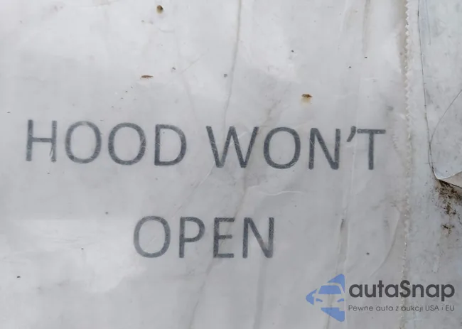 1B4GP443X2B574907: 44155619