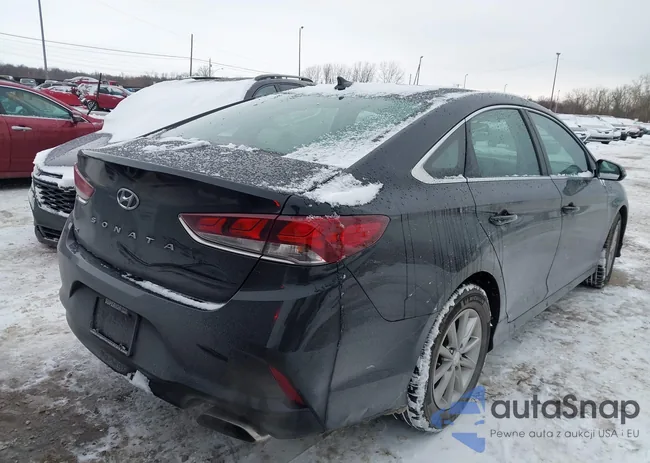 5NPE24AF8JH613689: 44155897