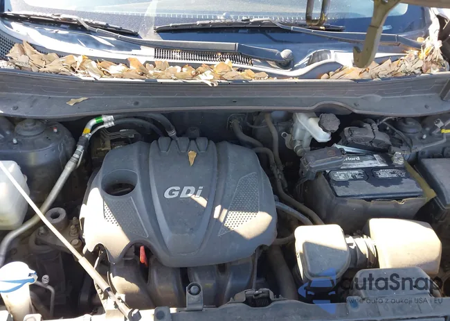 KNDPB3AC6G7795625: 44155169