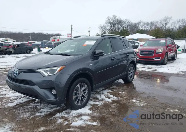 JTMRJREV2GD003868: 44155172