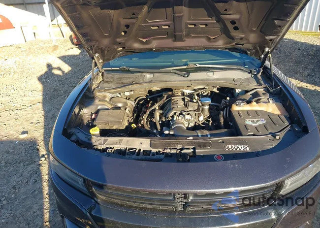 2C3CDXCT6GH226960: 44155261