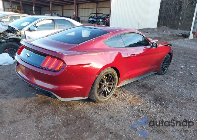 1FA6P8TH5H5279603: 44157013