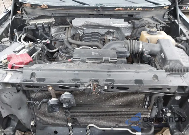 1FTFW1EF3DKD38515: 44156198