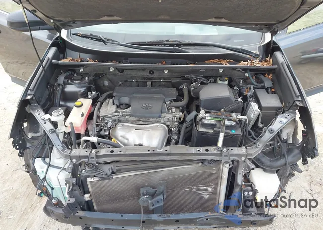 JTMZFREV0EJ001892: 44157690