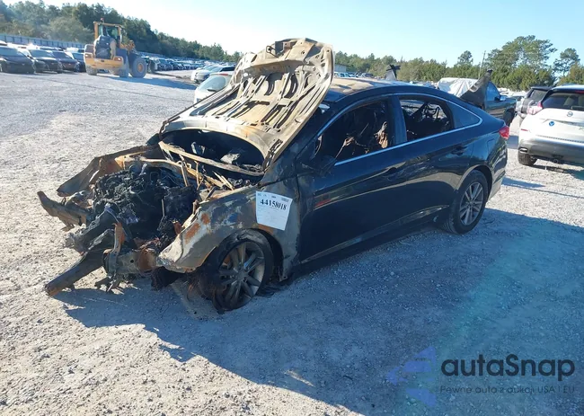 5NPE24AF0GH383784: 44158018