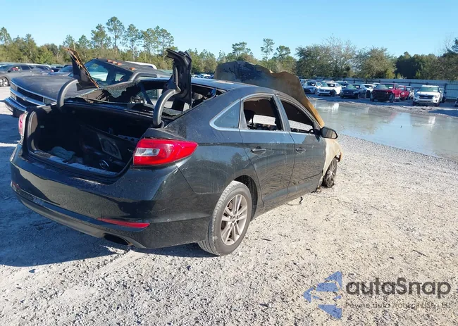 5NPE24AF0GH383784: 44158018